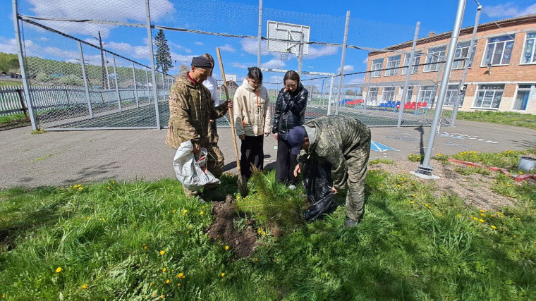 Аллея выпускников.